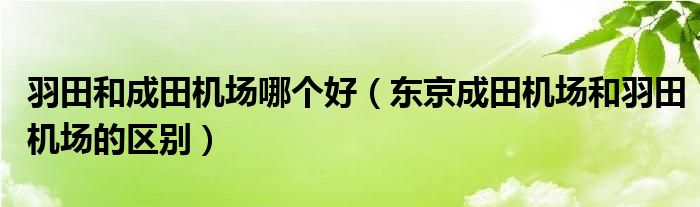 羽田和成田机场哪个好（东京成田机场和羽田机场的区别）