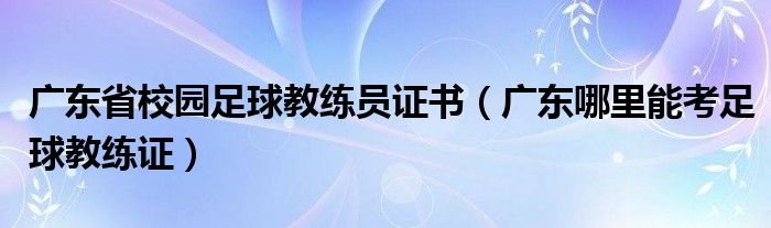 广东省校园足球教练员证书（广东哪里能考足球教练证）