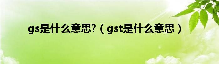 gs是什么意思?（gst是什么意思）