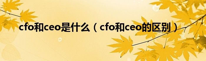 cfo和ceo是什么（cfo和ceo的区别）