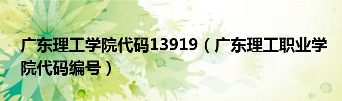 广东理工学院代码13919（广东理工职业学院代码编号）