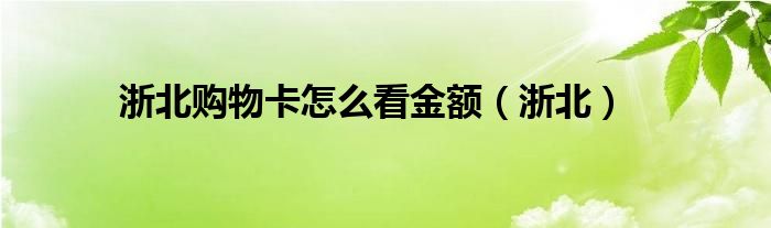 浙北购物卡怎么看金额（浙北）