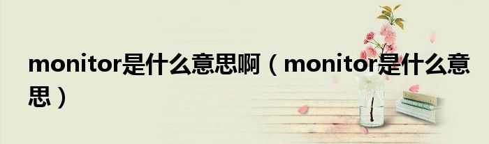 monitor是什么意思啊（monitor是什么意思）