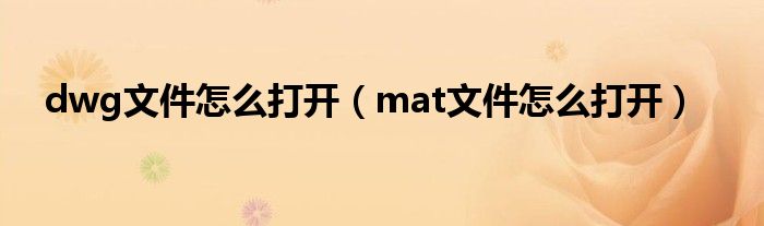 dwg文件怎么打开（mat文件怎么打开）