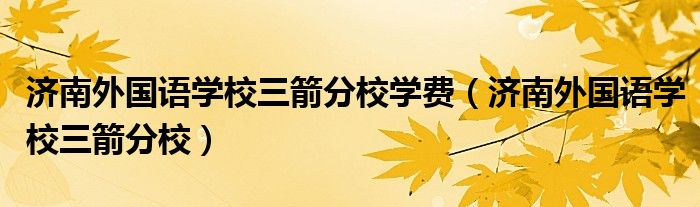 济南外国语学校三箭分校学费（济南外国语学校三箭分校）