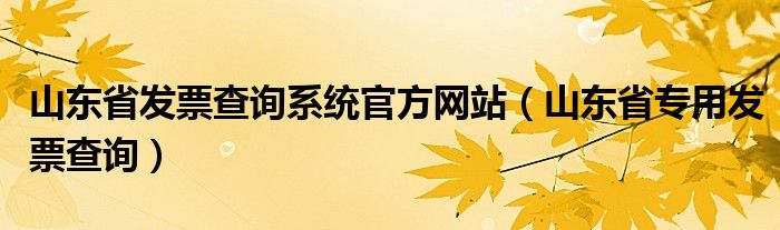 山东省发票查询系统官方网站（山东省专用发票查询）