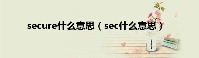 secure什么意思（sec什么意思）