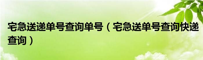 宅急送递单号查询单号（宅急送单号查询快递查询）