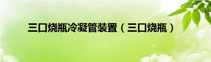 三口烧瓶冷凝管装置（三口烧瓶）