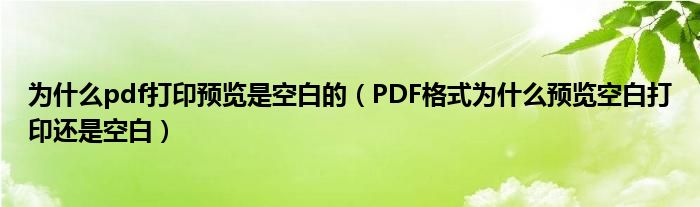 为什么pdf打印预览是空白的（PDF格式为什么预览空白打印还是空白）