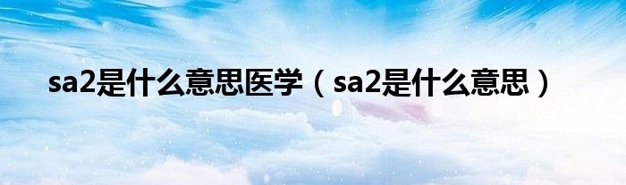 sa2是什么意思医学（sa2是什么意思）