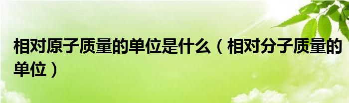 相对原子质量的单位是什么（相对分子质量的单位）