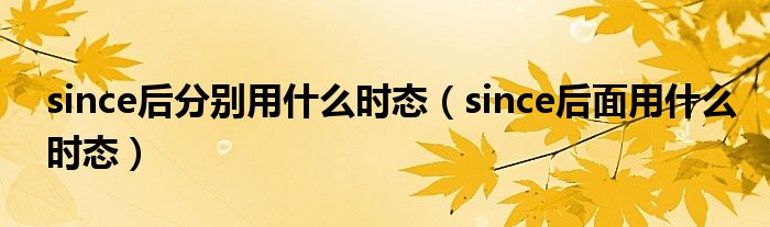 since后分别用什么时态（since后面用什么时态）