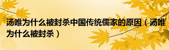 汤唯为什么被封杀中国传统儒家的原因（汤唯为什么被封杀）