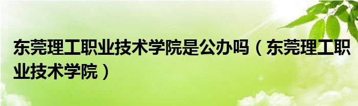 东莞理工职业技术学院是公办吗（东莞理工职业技术学院）