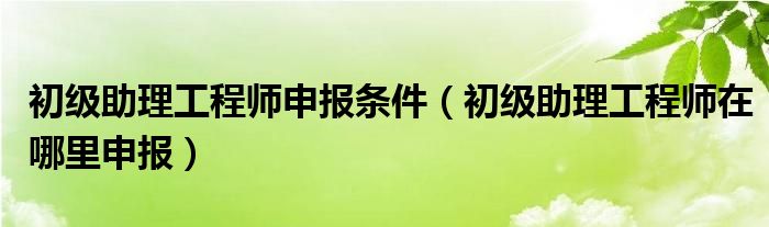 初级助理工程师申报条件（初级助理工程师在哪里申报）