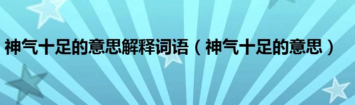 神气十足的意思解释词语（神气十足的意思）