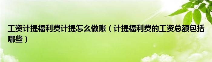 工资计提福利费计提怎么做账（计提福利费的工资总额包括哪些）