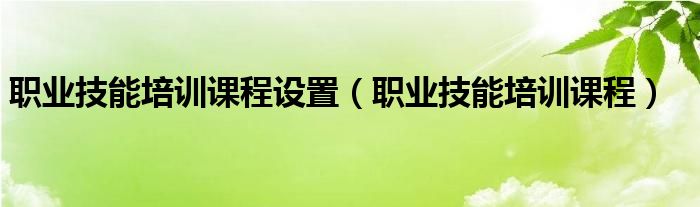 职业技能培训课程设置（职业技能培训课程）