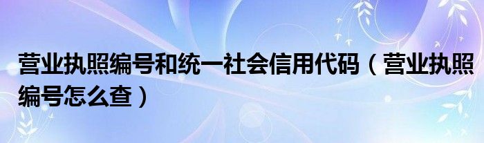 营业执照编号和统一社会信用代码（营业执照编号怎么查）