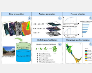 创新的人工智能方法以前所未有的精度对红树林物种进行分类