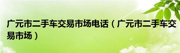 广元市二手车交易市场电话（广元市二手车交易市场）