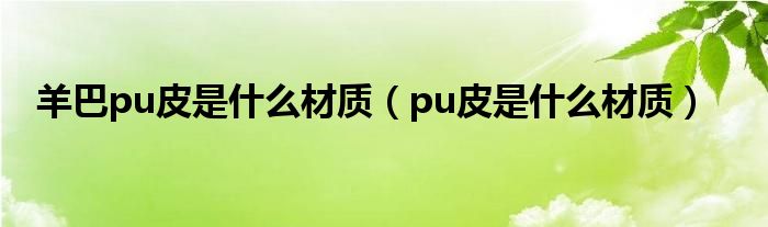 羊巴pu皮是什么材质（pu皮是什么材质）