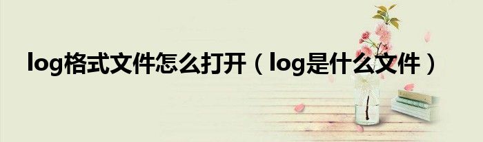 log格式文件怎么打开（log是什么文件）