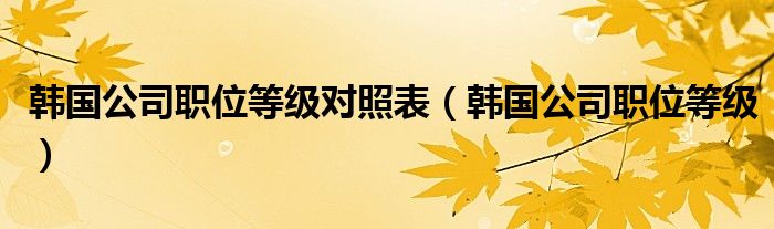 韩国公司职位等级对照表（韩国公司职位等级）