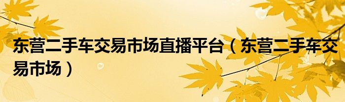 东营二手车交易市场直播平台（东营二手车交易市场）