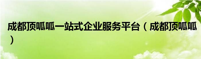 成都顶呱呱一站式企业服务平台（成都顶呱呱）