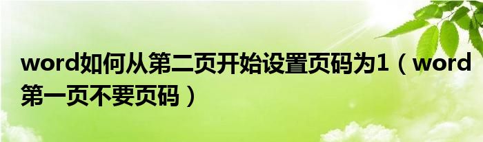 word如何从第二页开始设置页码为1（word第一页不要页码）