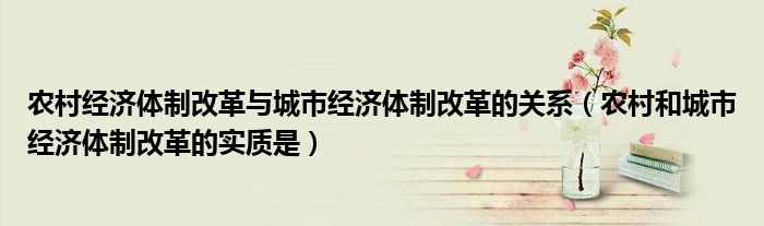 农村经济体制改革与城市经济体制改革的关系（农村和城市经济体制改革的实质是）