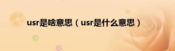 usr是啥意思（usr是什么意思）