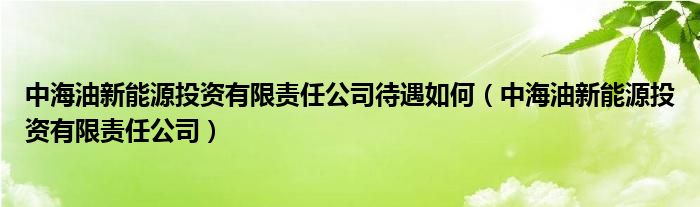 中海油新能源投资有限责任公司待遇如何（中海油新能源投资有限责任公司）