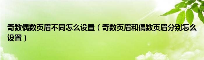 奇数偶数页眉不同怎么设置（奇数页眉和偶数页眉分别怎么设置）