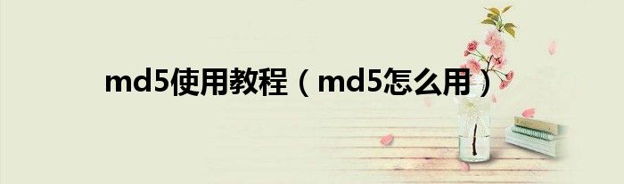 md5使用教程（md5怎么用）