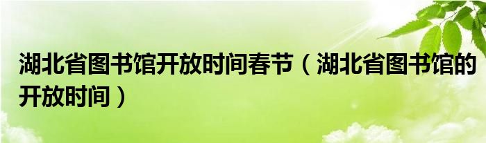 湖北省图书馆开放时间春节（湖北省图书馆的开放时间）