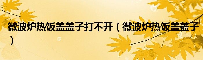 微波炉热饭盖盖子打不开（微波炉热饭盖盖子）