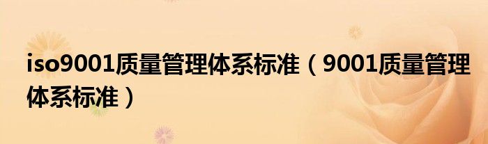 iso9001质量管理体系标准（9001质量管理体系标准）