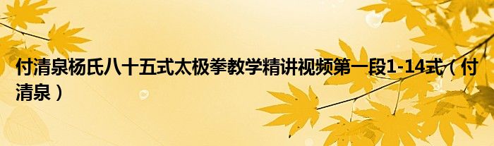 付清泉杨氏八十五式太极拳教学精讲视频第一段1-14式（付清泉）