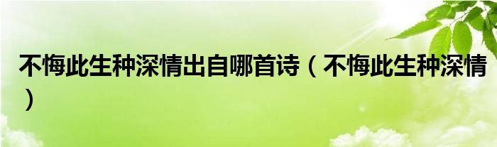 不悔此生种深情出自哪首诗（不悔此生种深情）