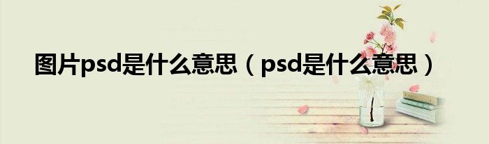 图片psd是什么意思（psd是什么意思）