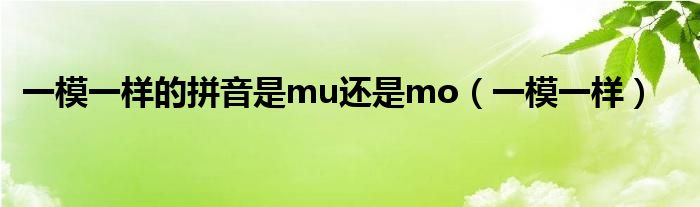 一模一样的拼音是mu还是mo（一模一样）