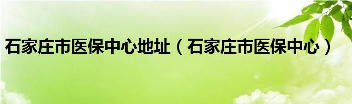 石家庄市医保中心地址（石家庄市医保中心）