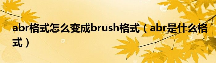 abr格式怎么变成brush格式（abr是什么格式）