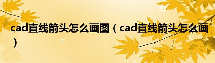 cad直线箭头怎么画图（cad直线箭头怎么画）