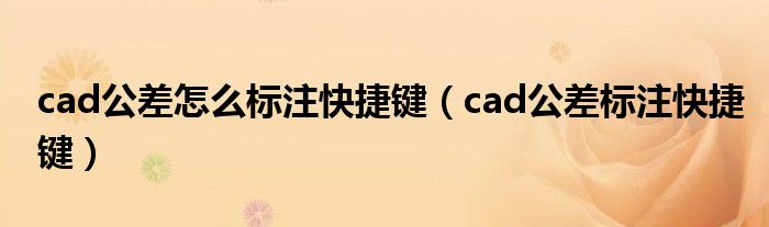 cad公差怎么标注快捷键（cad公差标注快捷键）