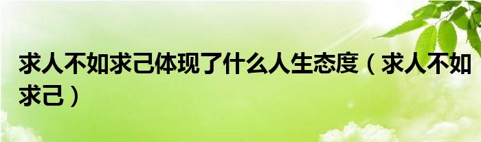 求人不如求己体现了什么人生态度（求人不如求己）