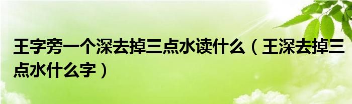 王字旁一个深去掉三点水读什么（王深去掉三点水什么字）